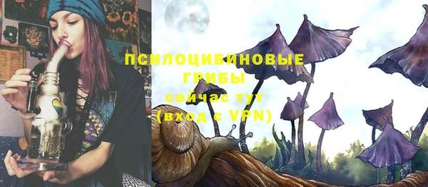 стаф Козельск