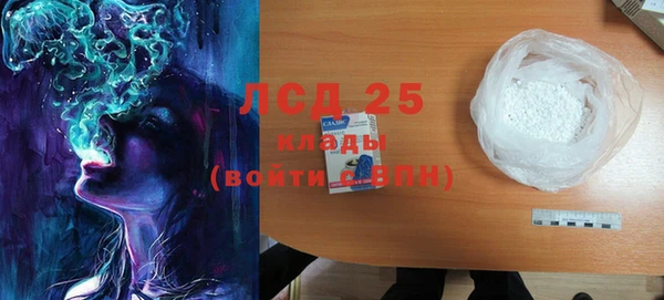 стаф Козельск
