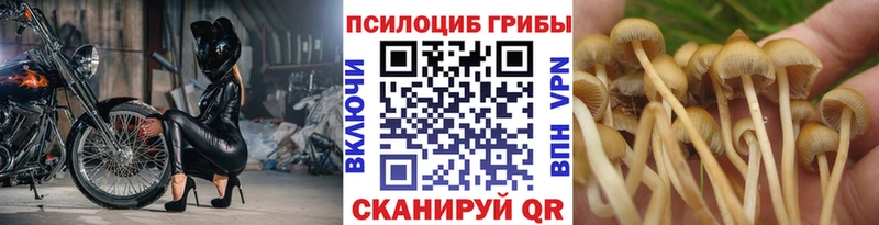 Галлюциногенные грибы ЛСД  Купить закладки  Белоозёрский 